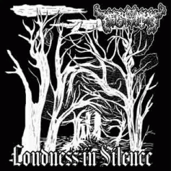 Loudness in Silence